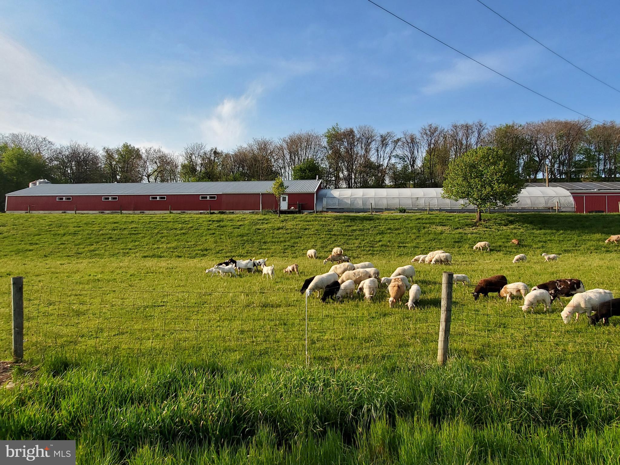 MANOR TWP - Farm
