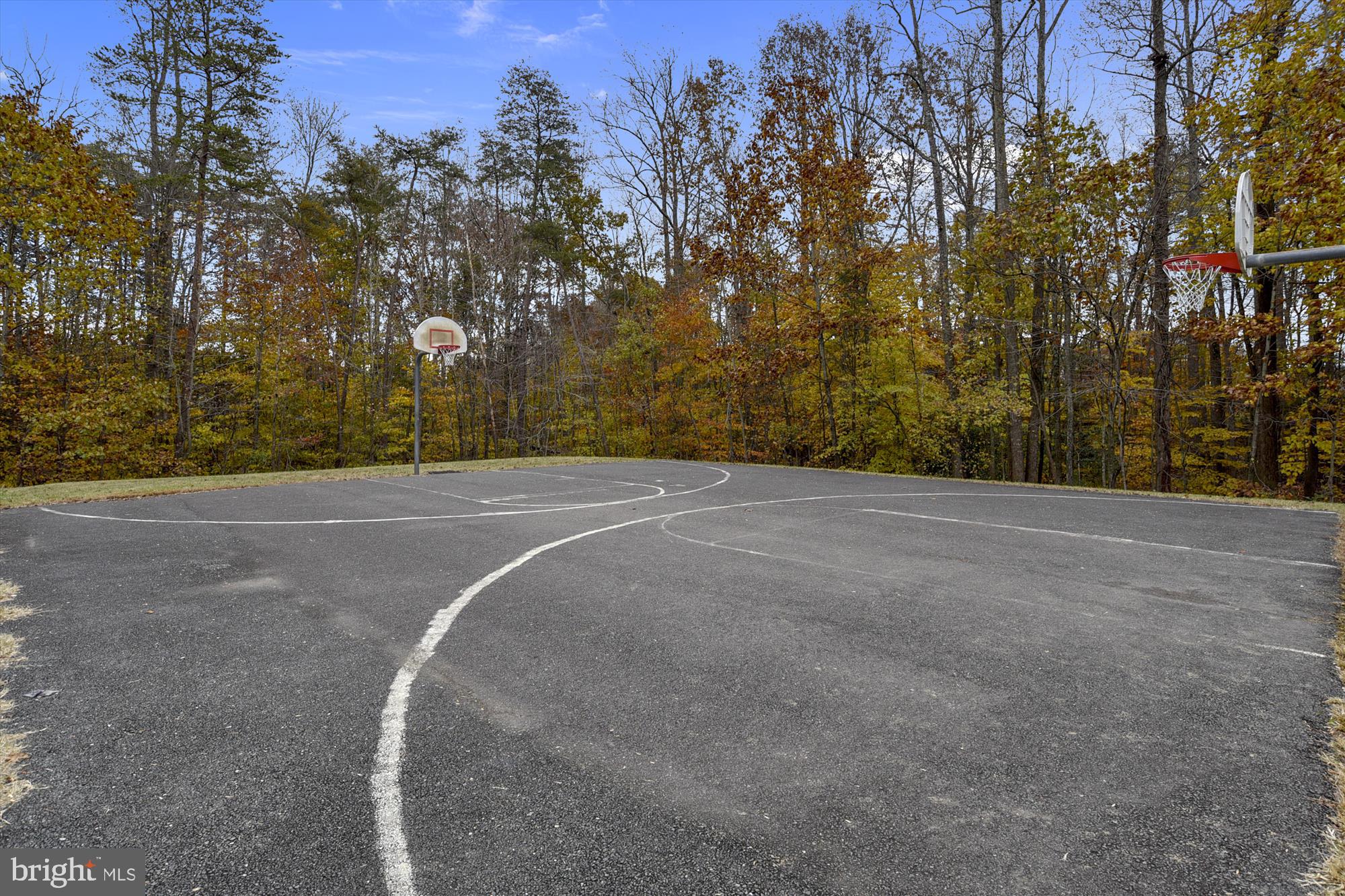 THE MANORS OF PARK RIDGE - Residential