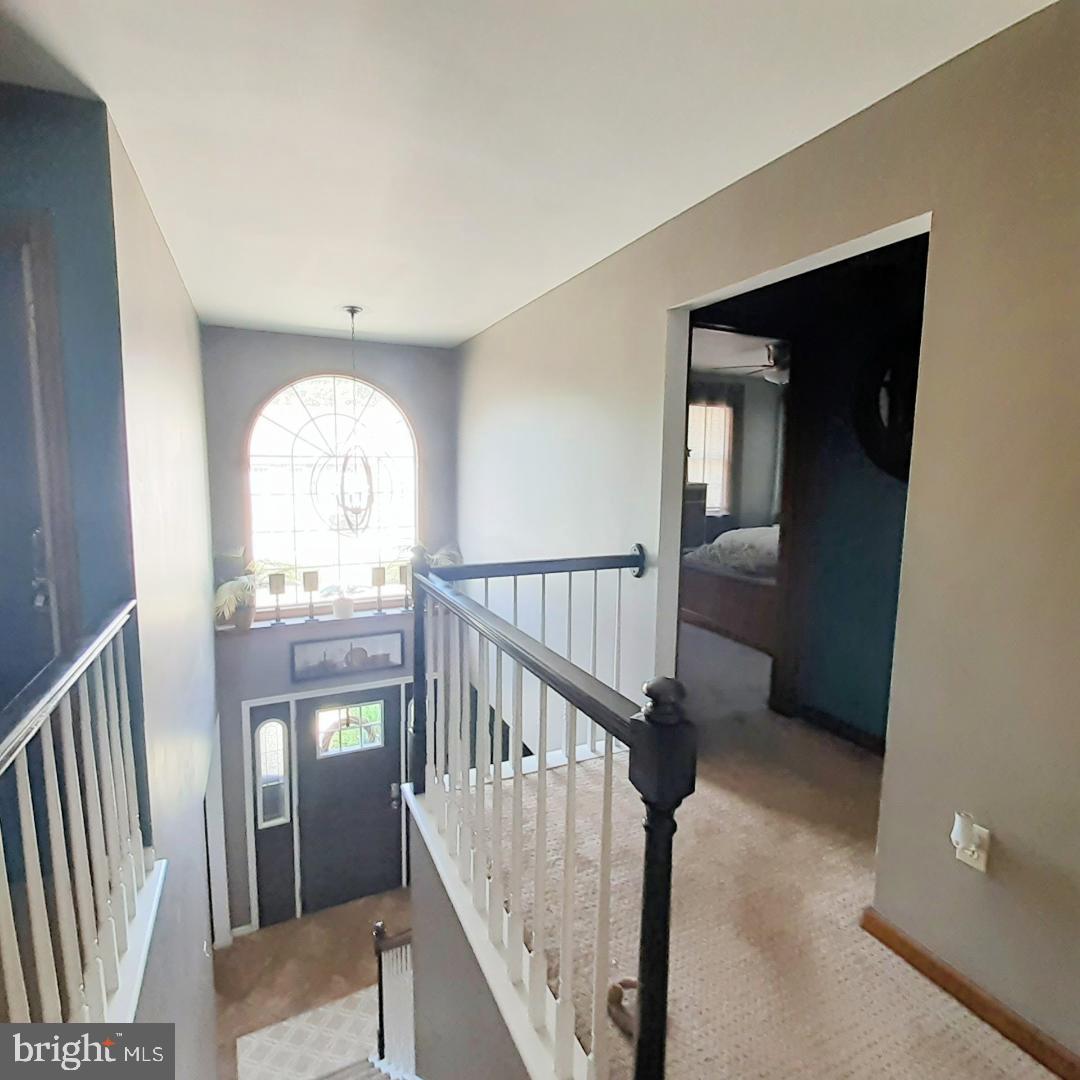 NORWEGIAN WOODS - Residential