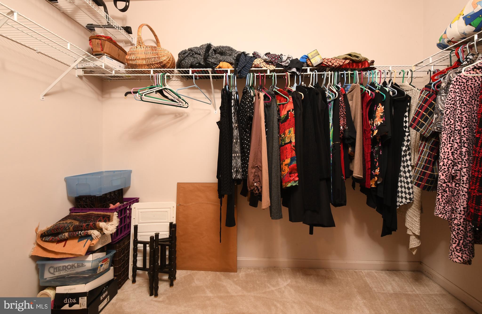 COLECHESTER VILLAGE - Residential