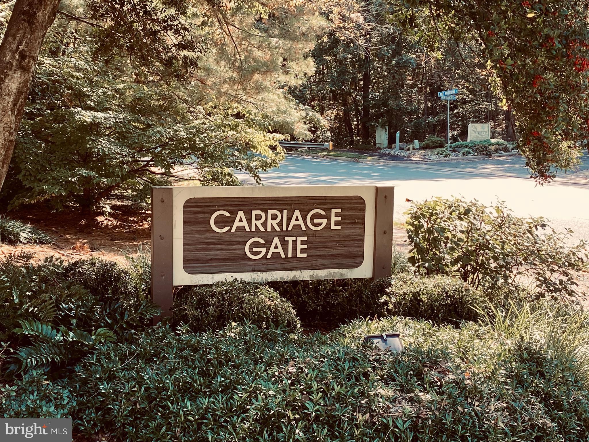 CARRIAGE GATE - Residential