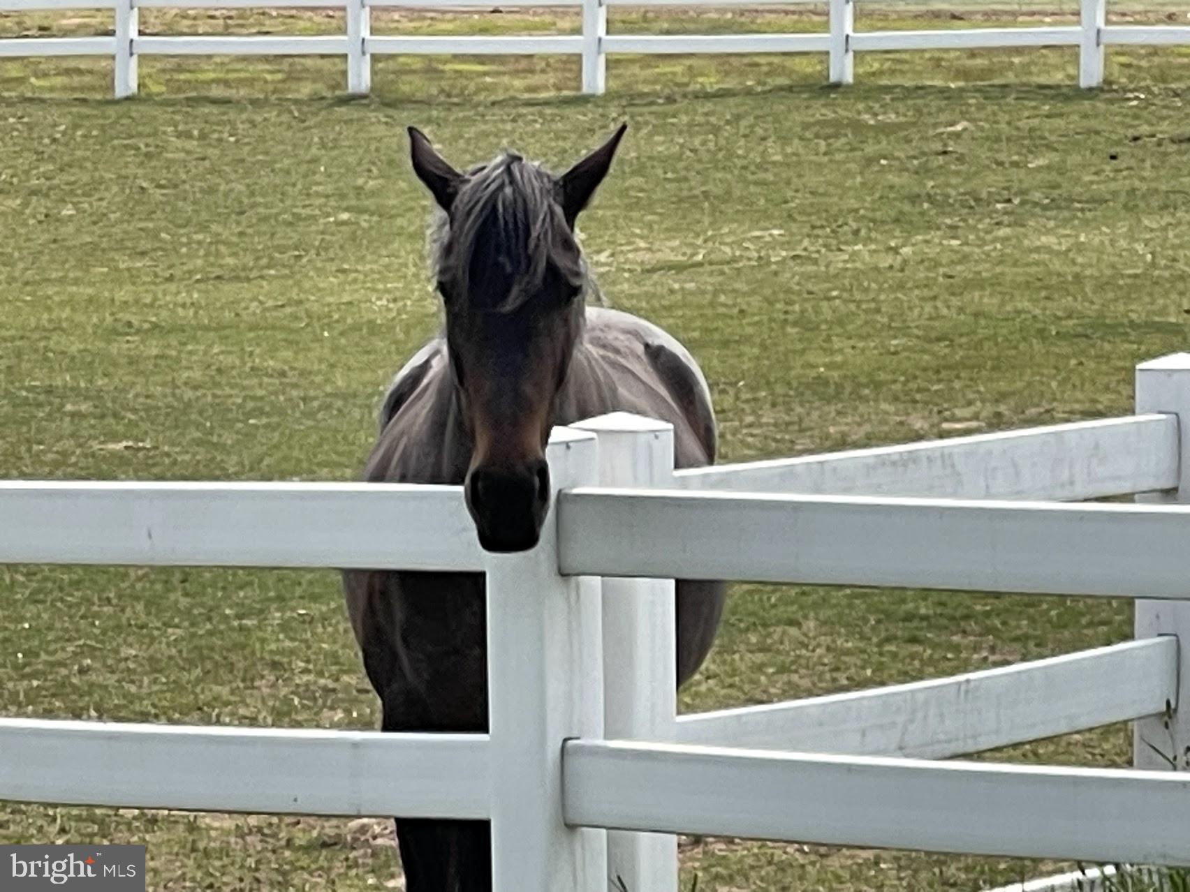 EAGLE ROCK RESORT - Residential