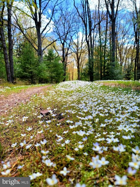 Vacant Land For Sale - 614 Graystones Jeras Rd Lot H-14 Rd<br/> ALBRIGHTSVILLE, PA 18210