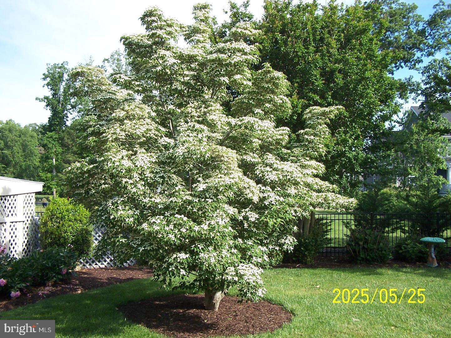 POINT FARM - Residential