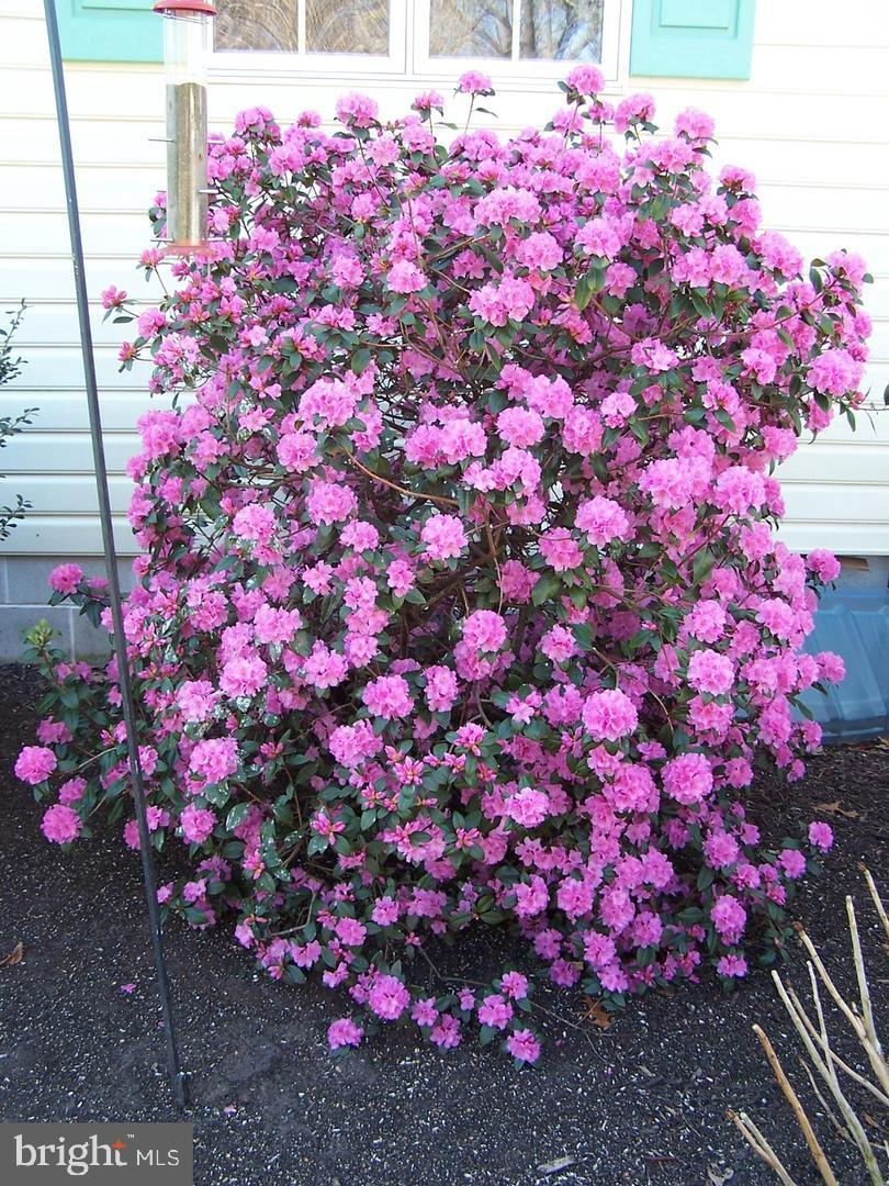 POINT FARM - Residential