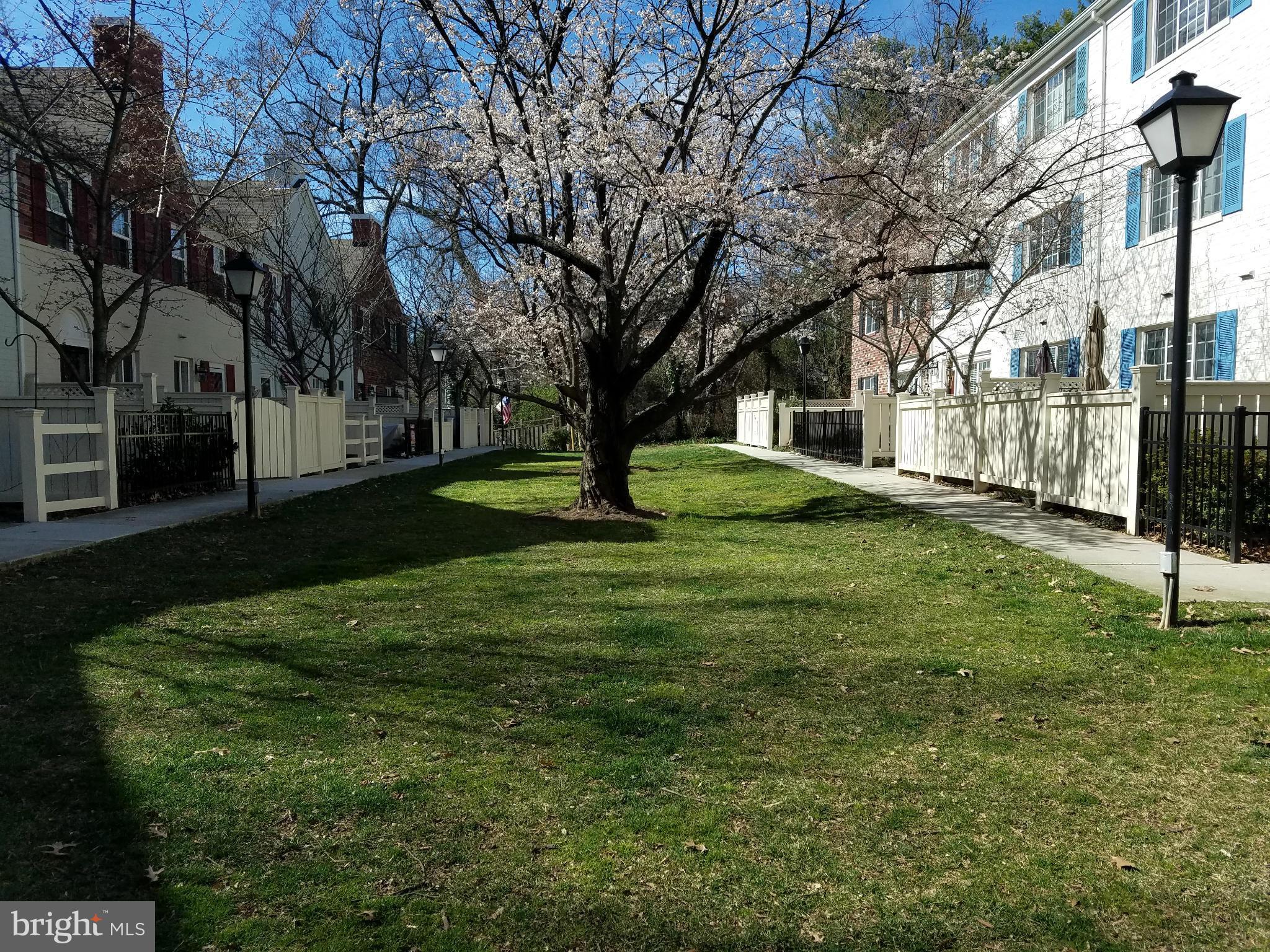 PARKSIDE AT ALEXANDRIA - Residential