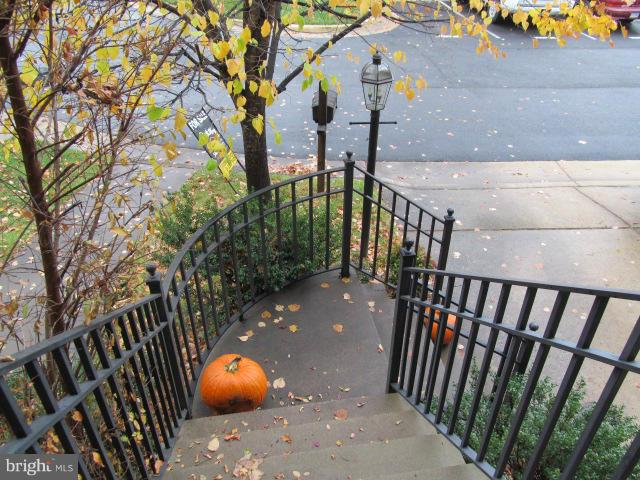 PLANE TREE - Residential