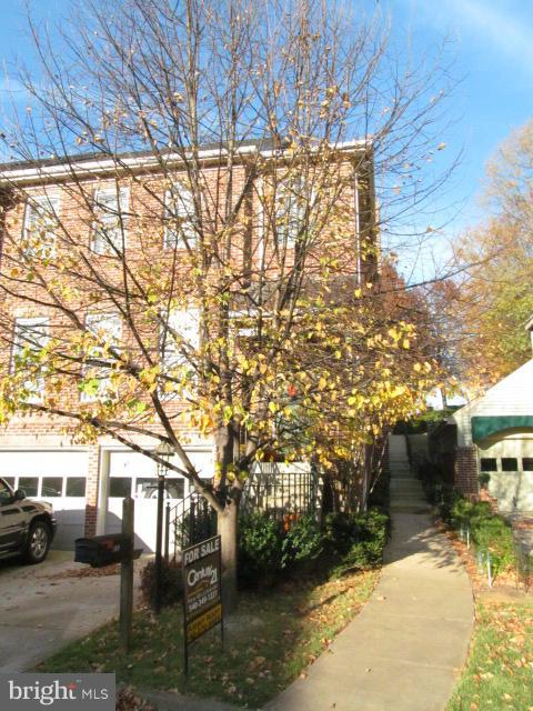 PLANE TREE - Residential