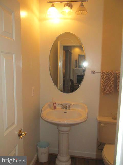 PLANE TREE - Residential