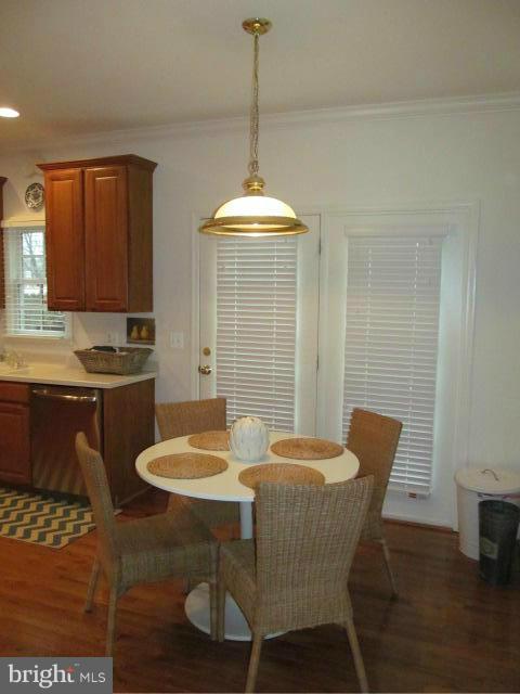 PLANE TREE - Residential