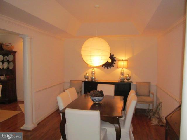 PLANE TREE - Residential