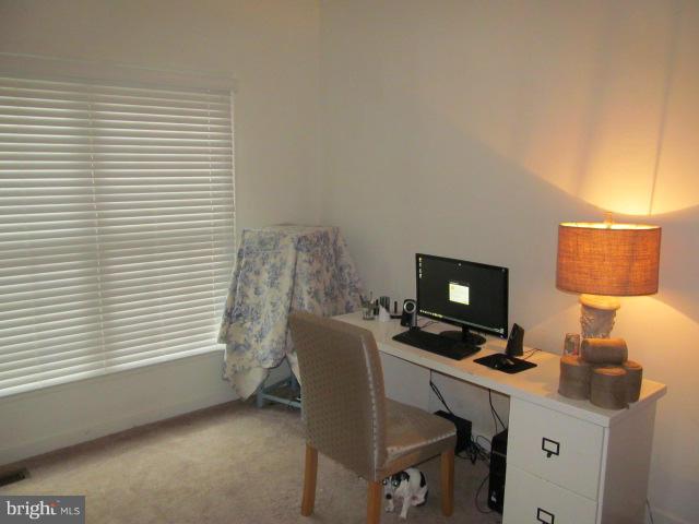 PLANE TREE - Residential