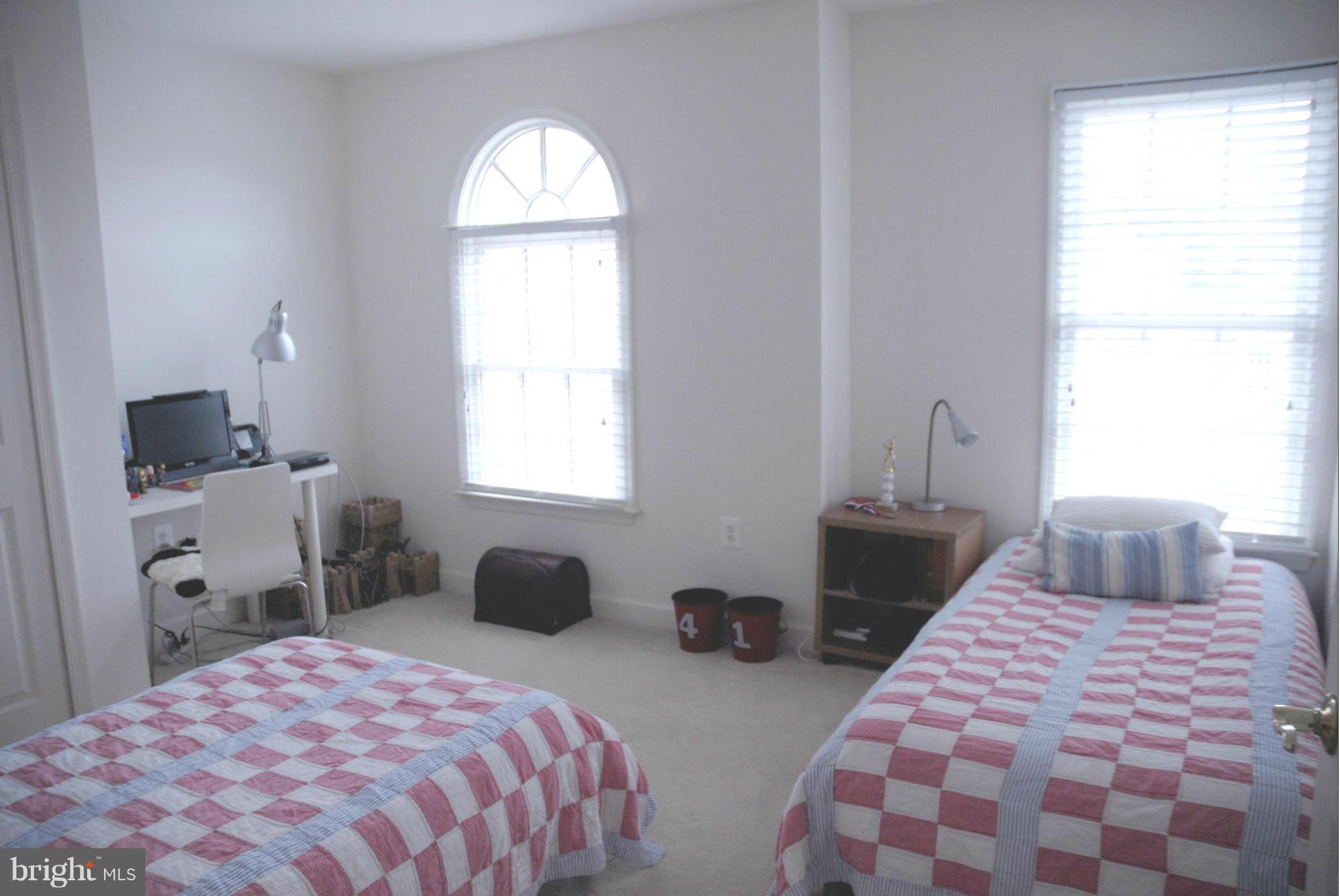 PLANE TREE - Residential