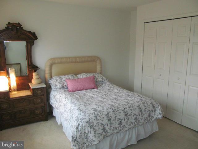 PLANE TREE - Residential