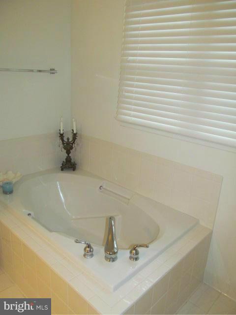 PLANE TREE - Residential