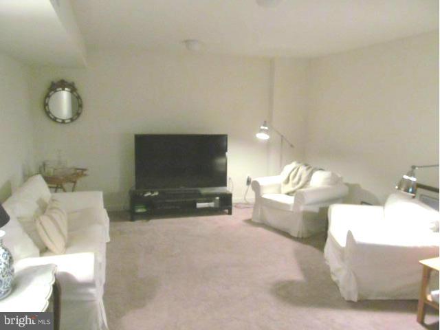 PLANE TREE - Residential