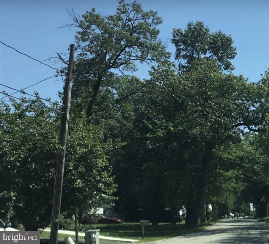 WOODLAWN HEIGHTS - Land