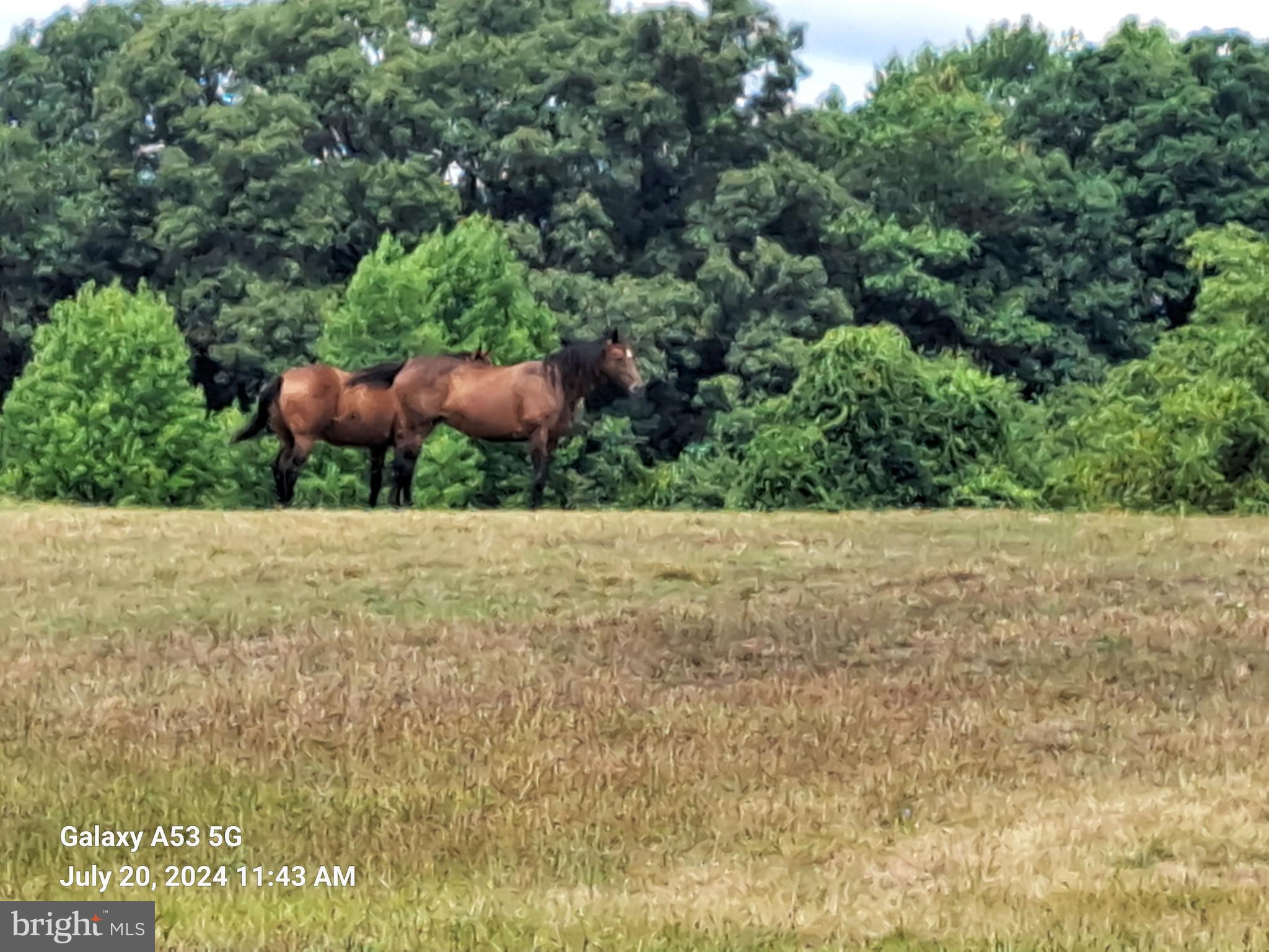 JESSUP - Residential