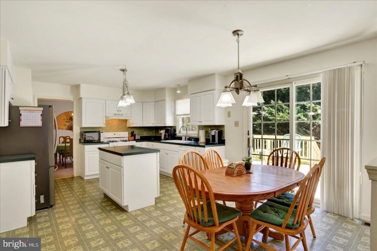 1153 FLEMING DRIVE