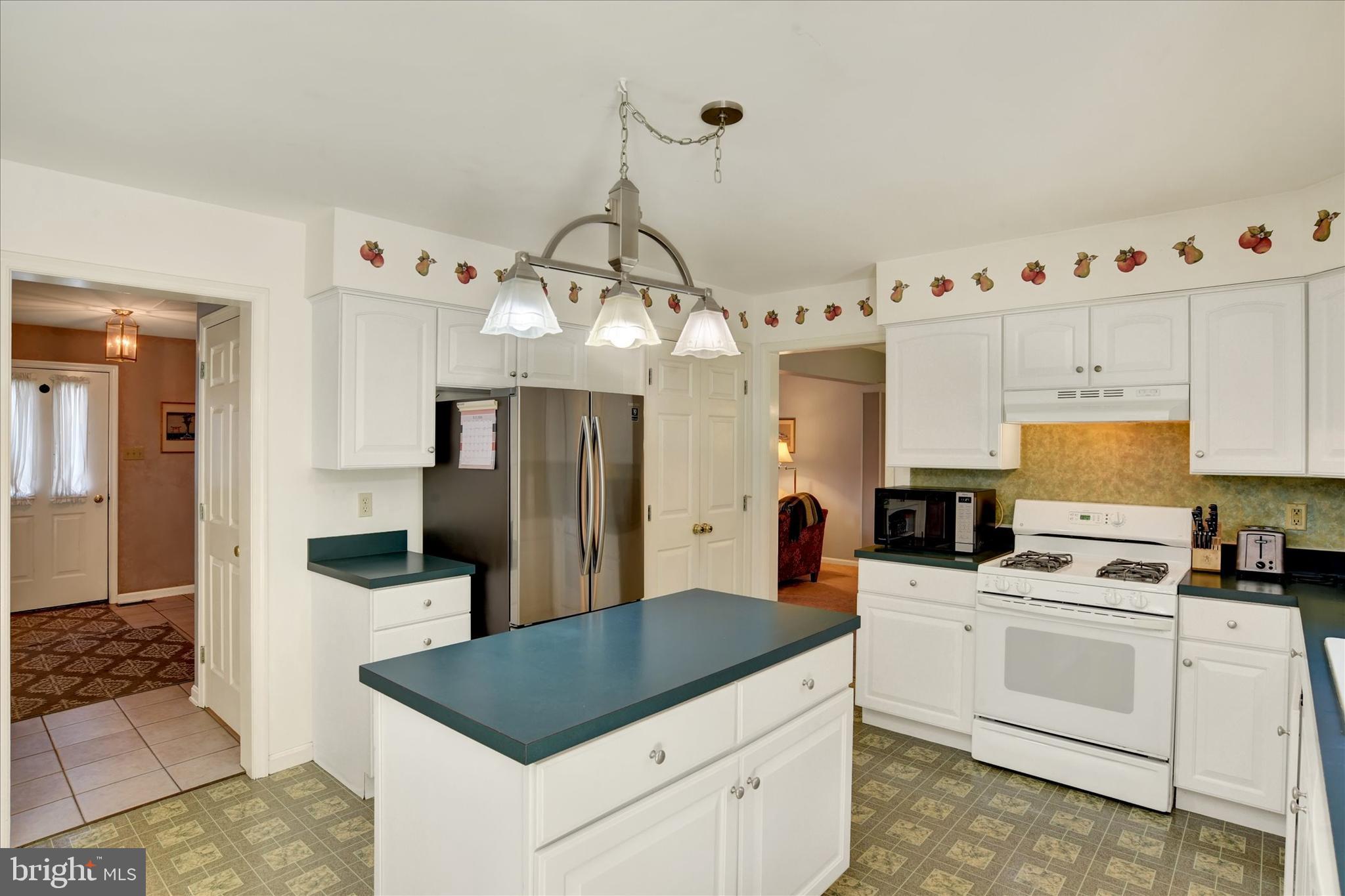 1153 FLEMING DRIVE