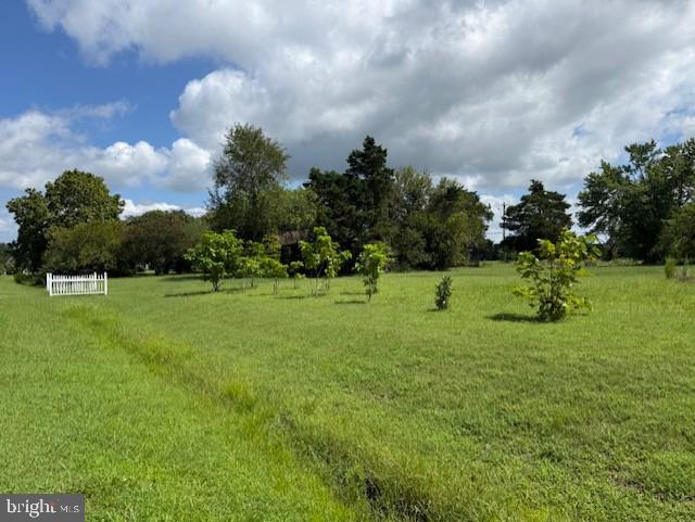 4099 MEADOW BRIDGE ROAD
