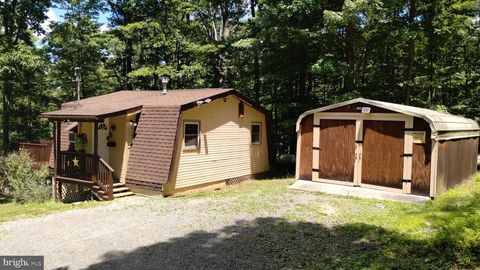 Homes For Sale - 586 Cardinal View Road<br/> Hampshire County, PAW PAW, WV 25434