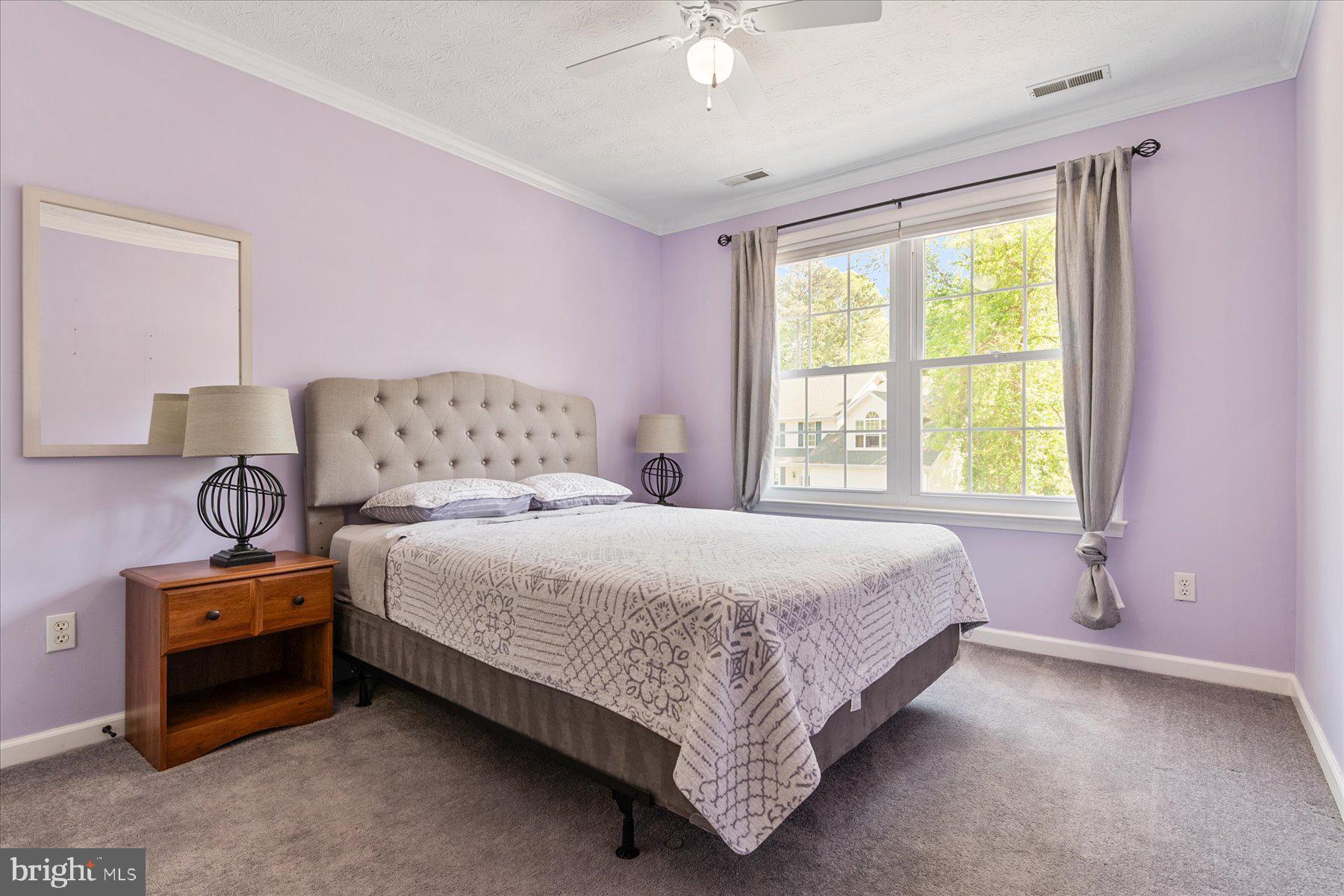 TIMBER LANE THE WOODS - Residential