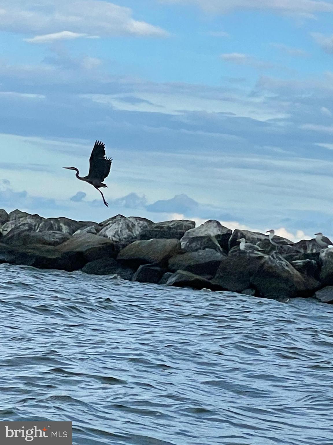 SAINT GEORGE ISLAND - Residential Lease