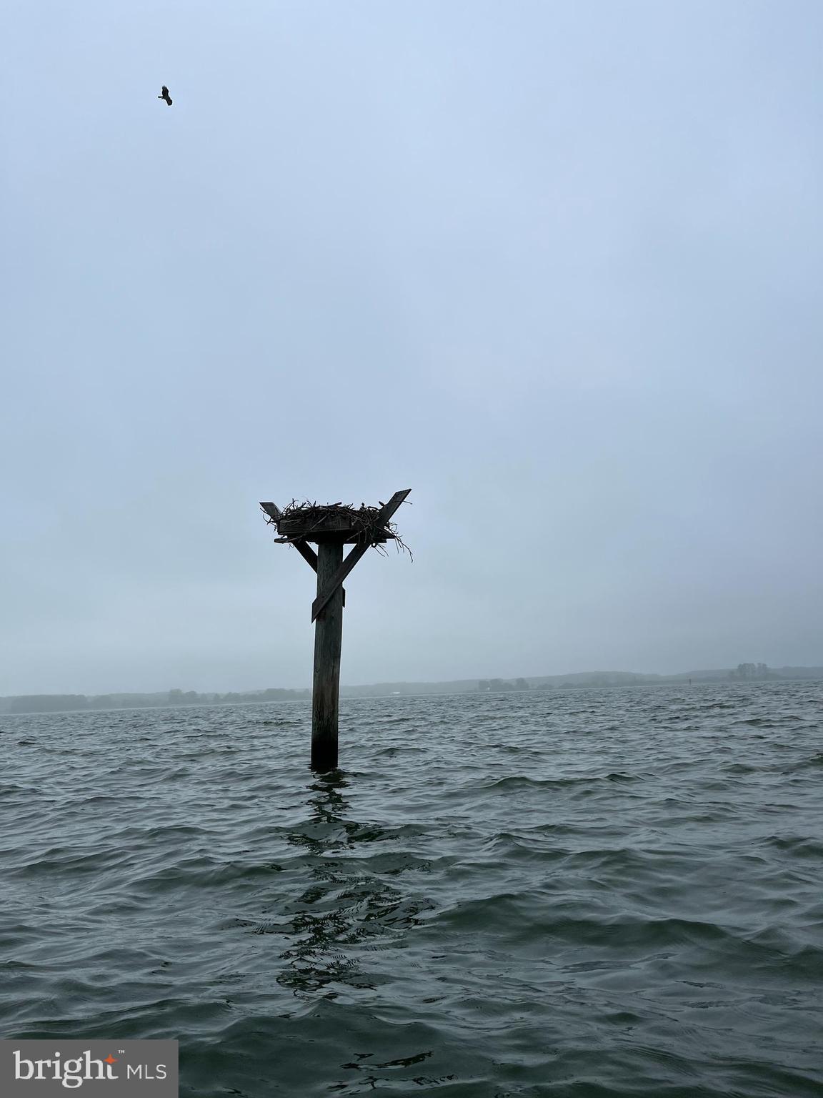 SAINT GEORGE ISLAND - Residential Lease