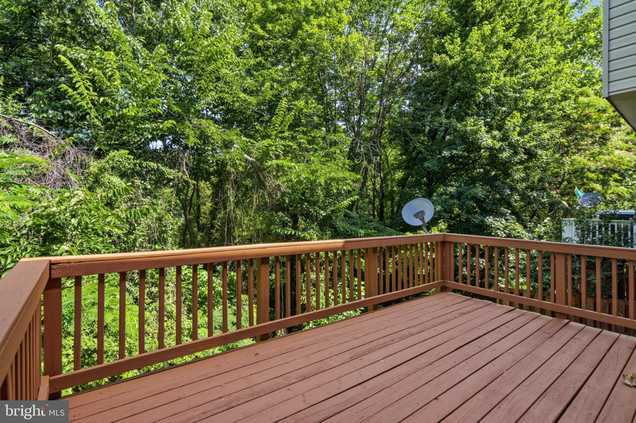 9504 NINEBARK COURT