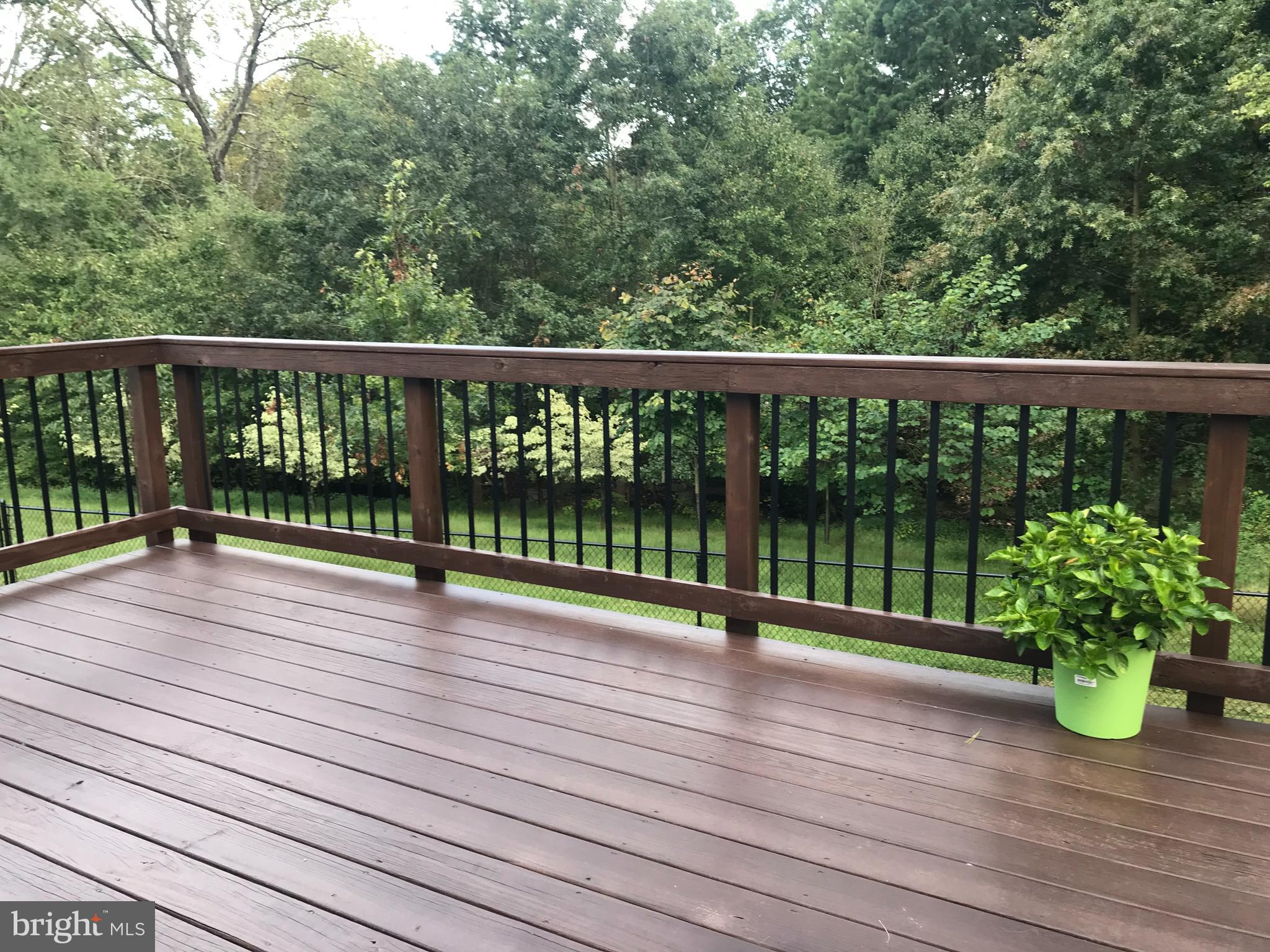 RANDOLPH HILLS - Residential Lease