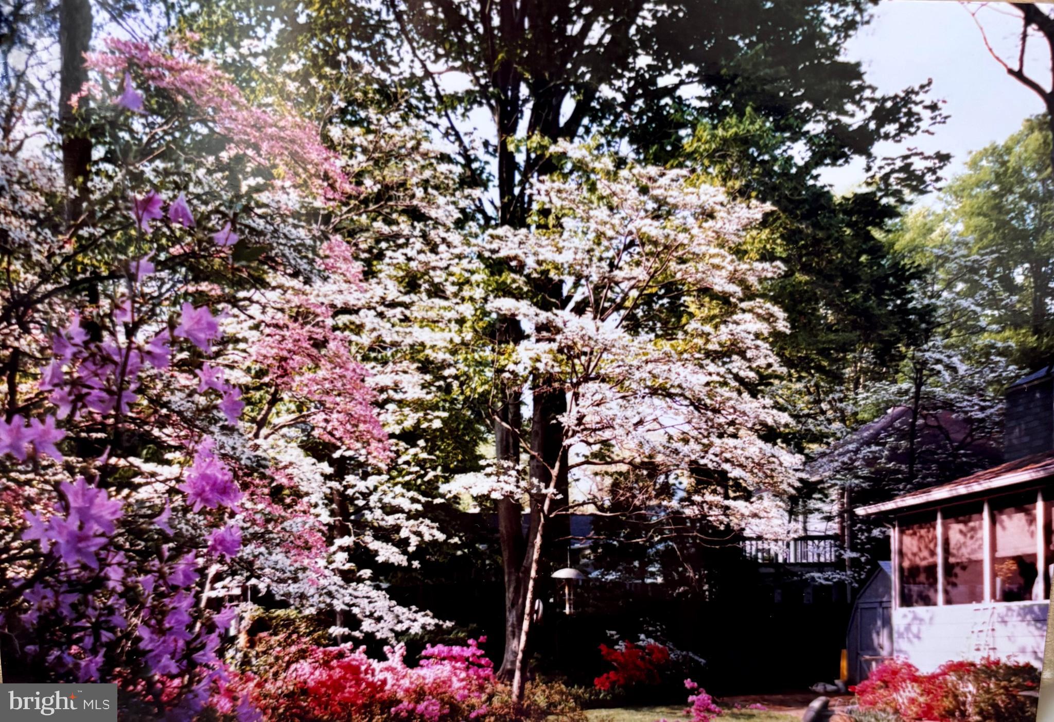 CROFTON PARK - Residential