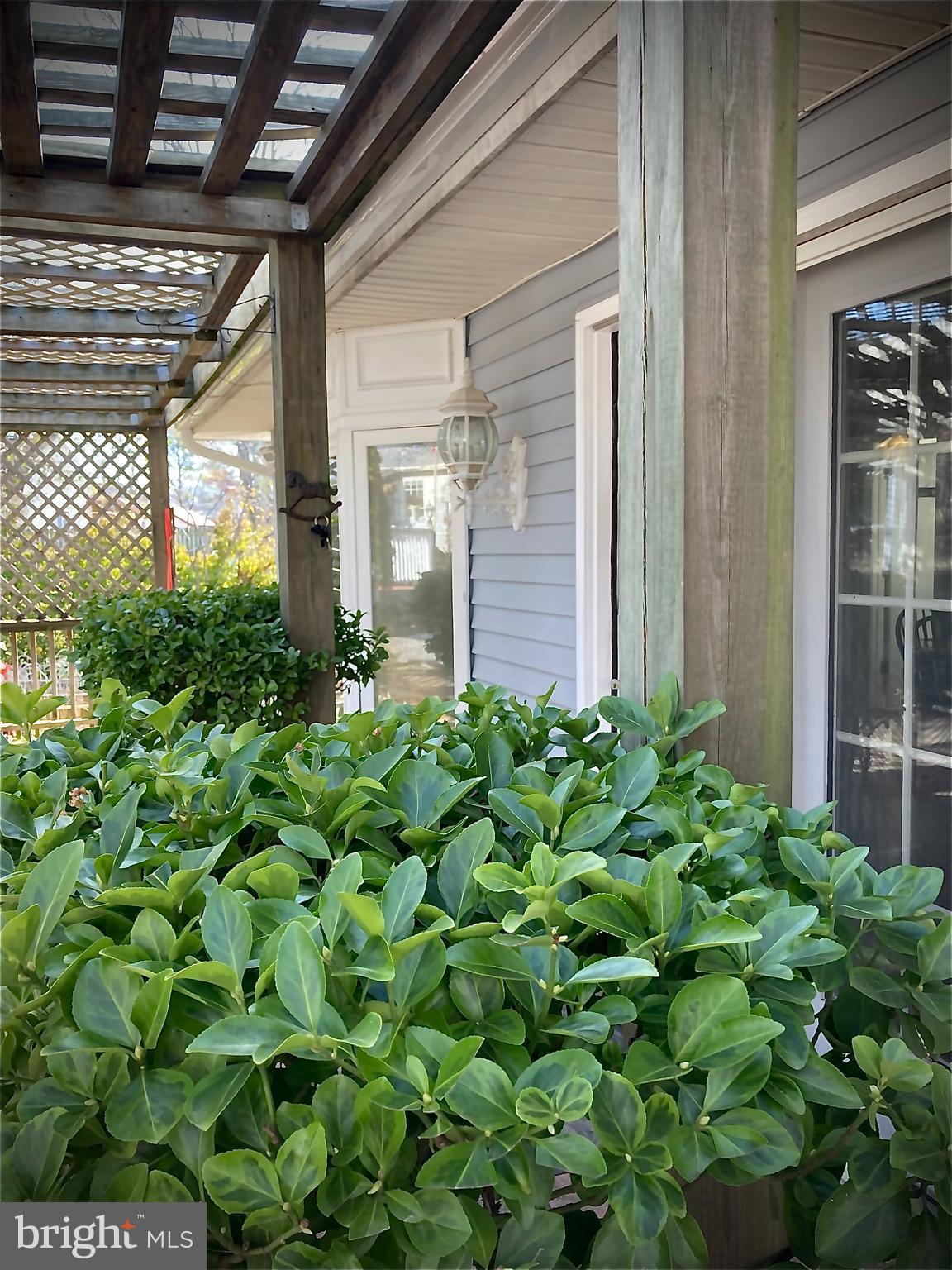 SOUTH LAWN - Residential