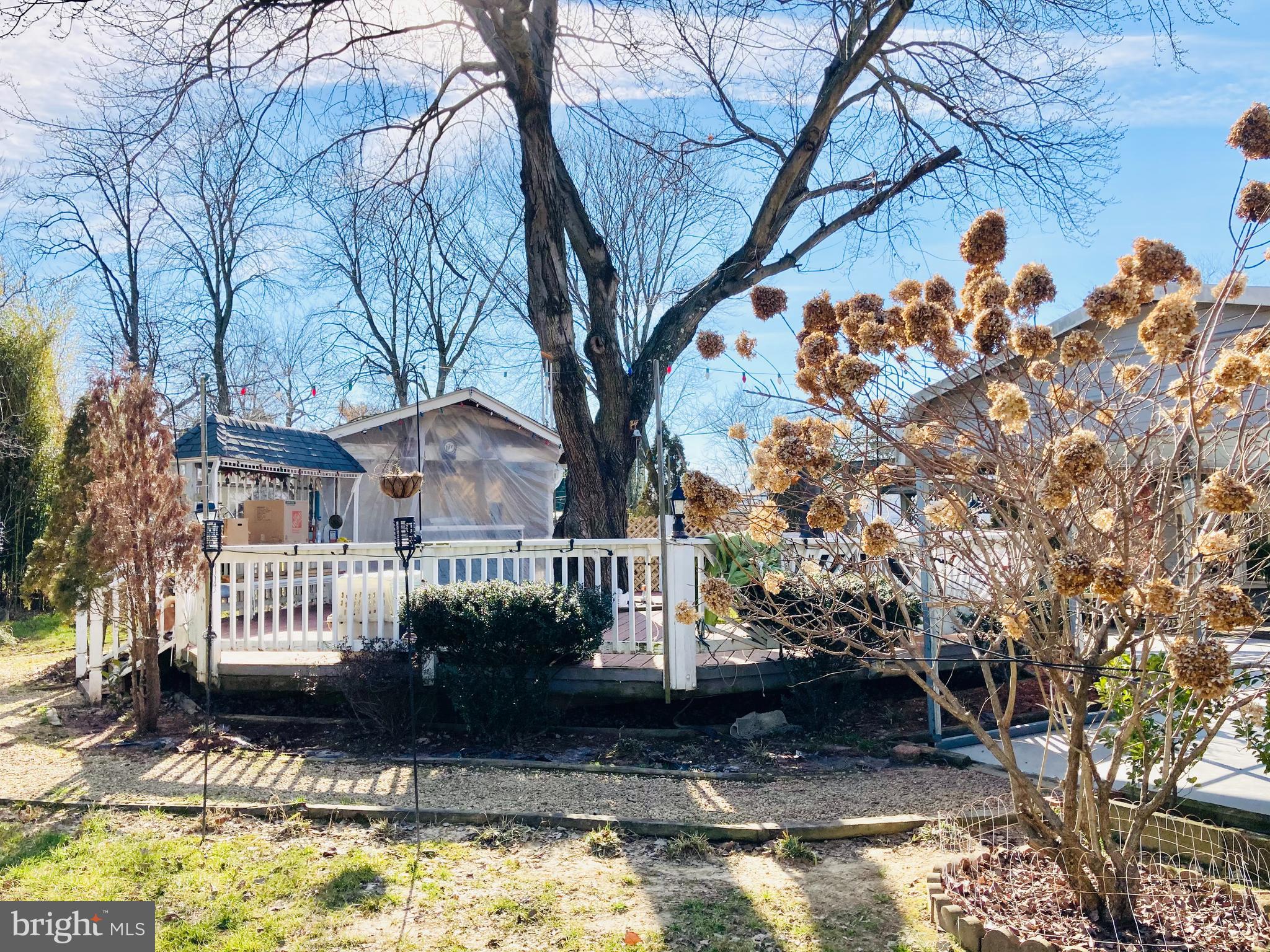 SOUTH LAWN - Residential