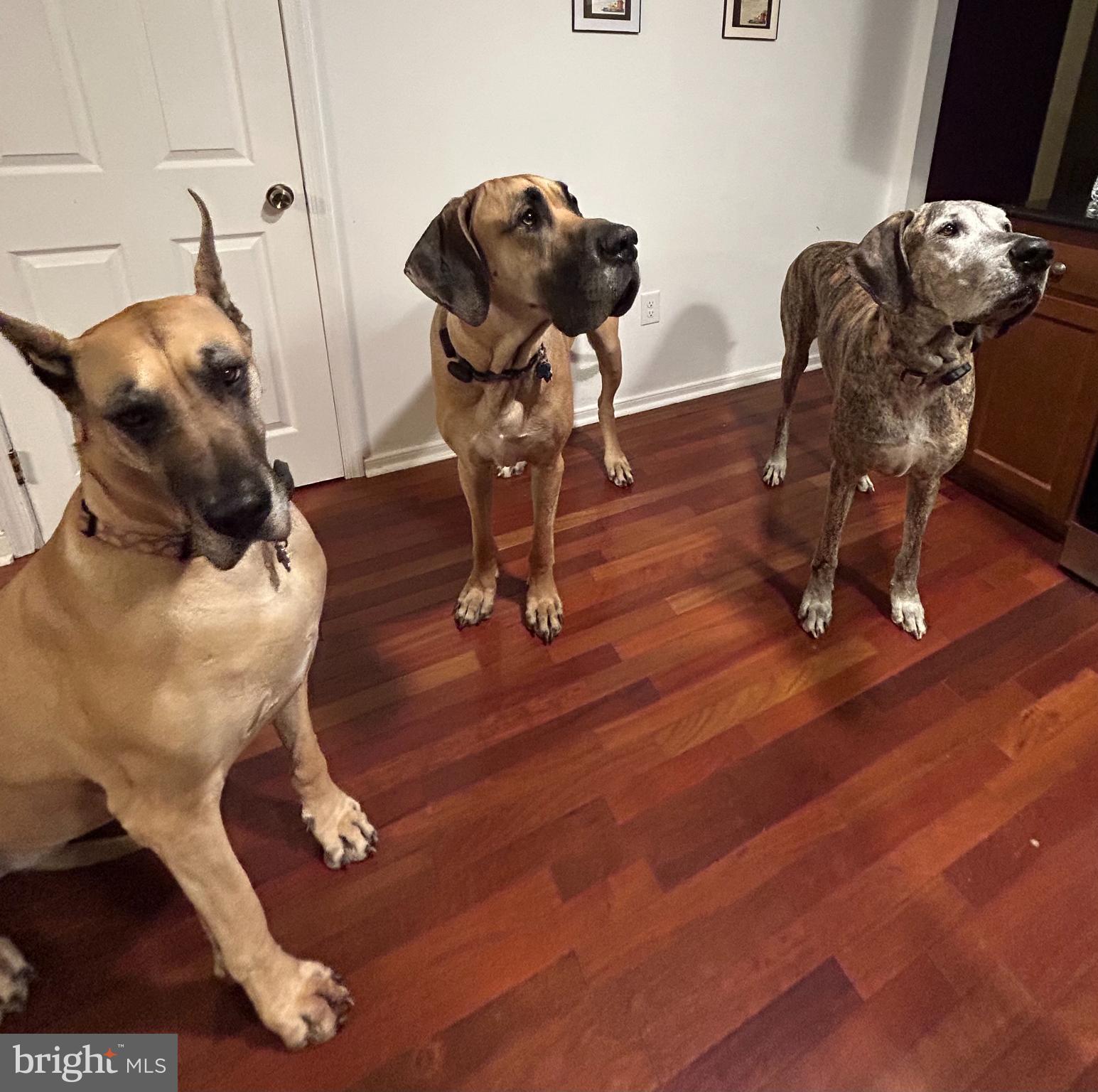 LAKE CAROLINE - Residential