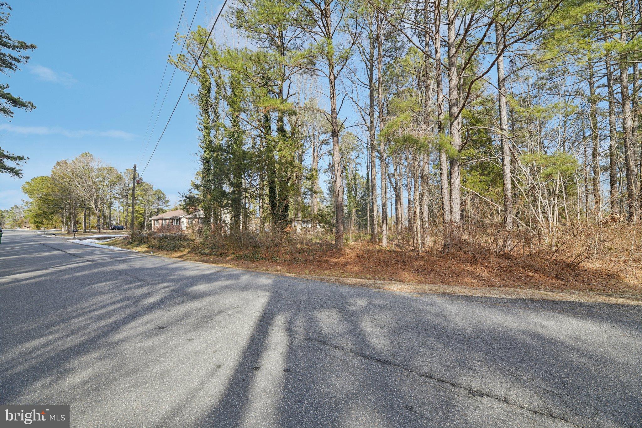 LAKE CAROLINE - Residential