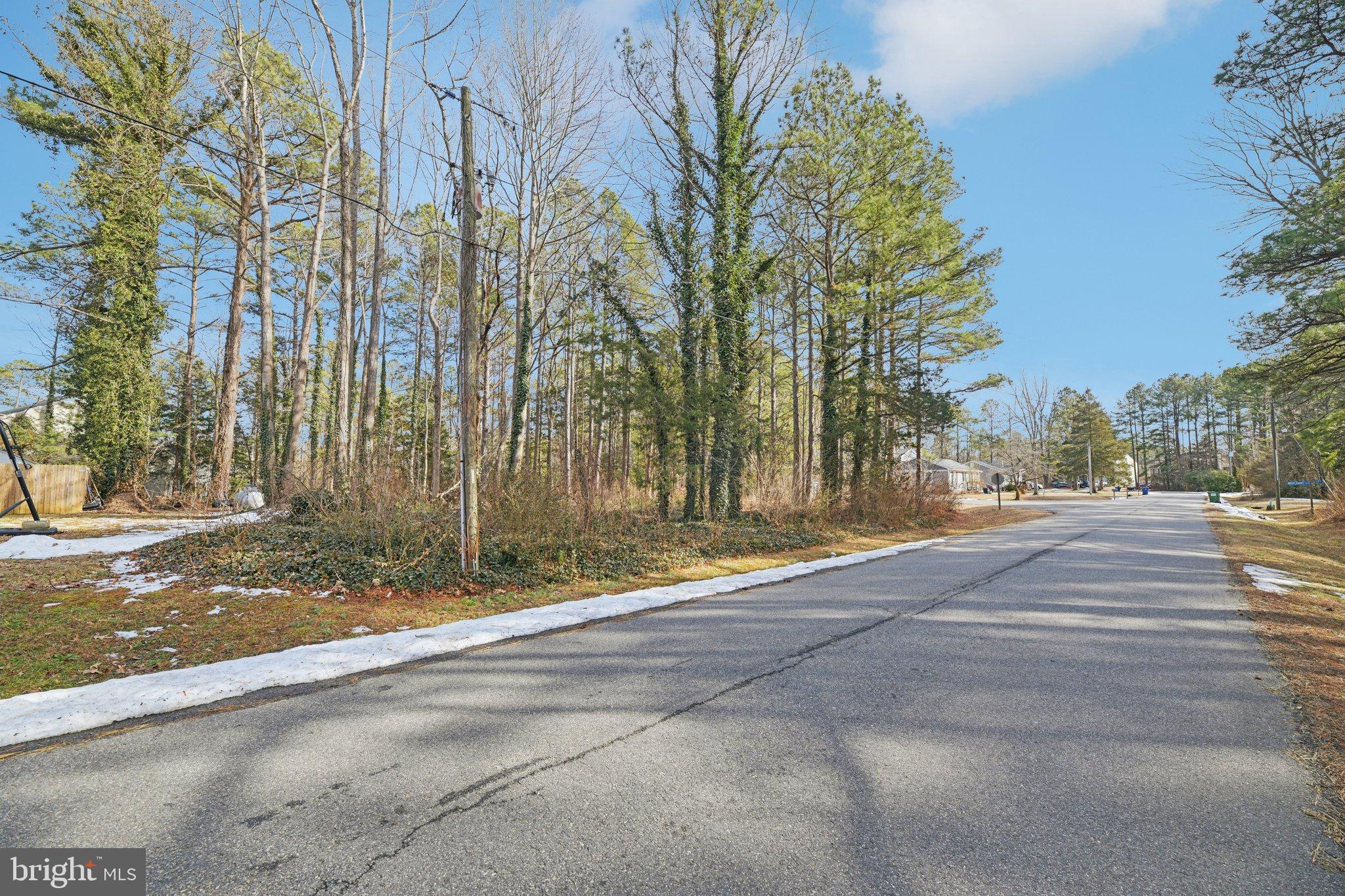 LAKE CAROLINE - Residential