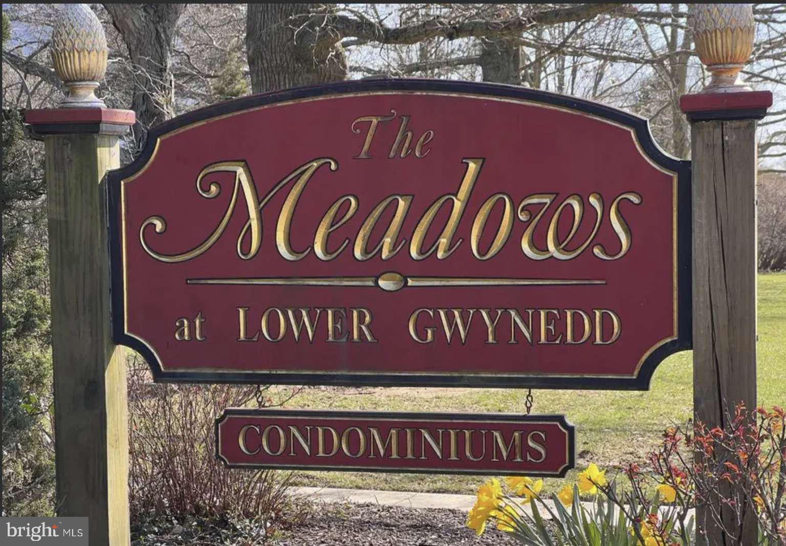 MEADOWS AT LOWER GWYNNED - Residential