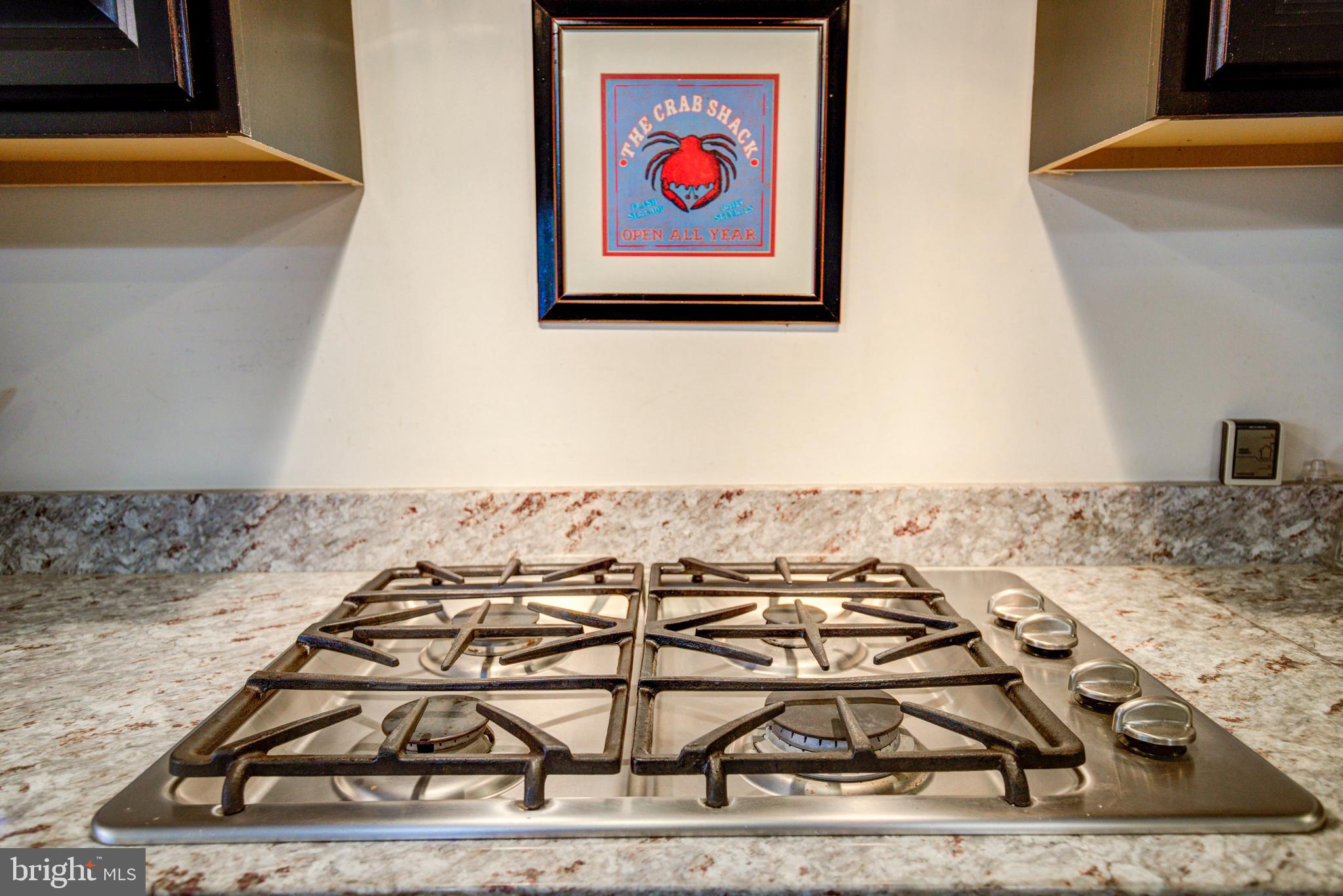 STONE RIDGE - Residential