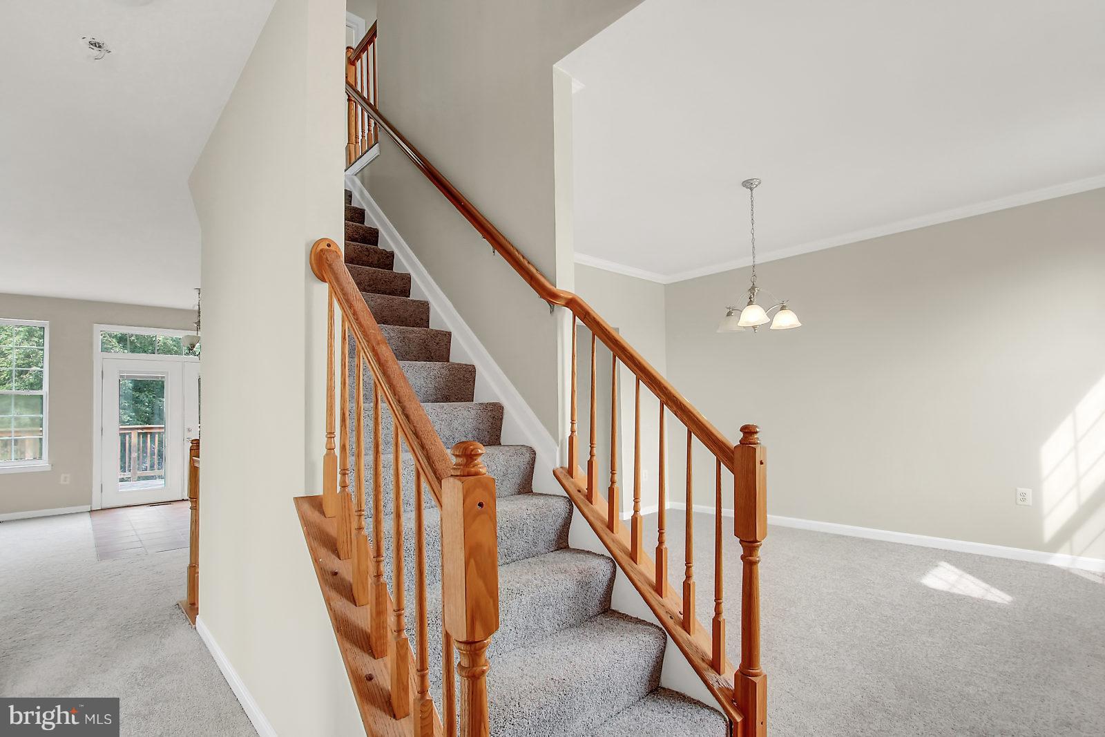 KINGSTON PARK - Residential