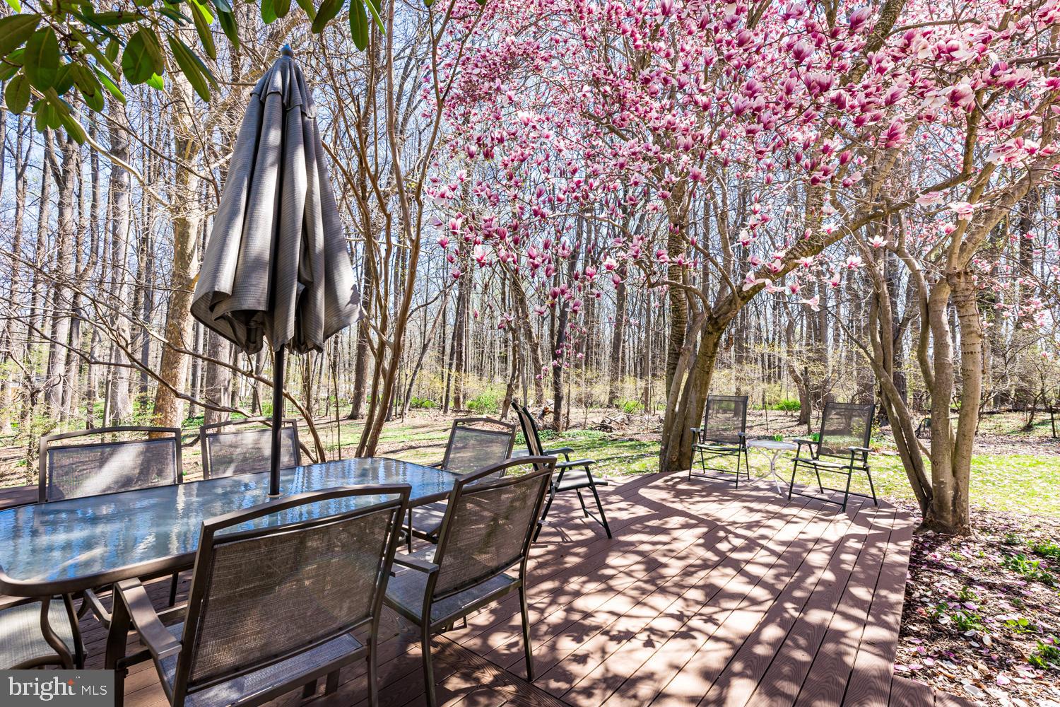 FOX HILL - Residential