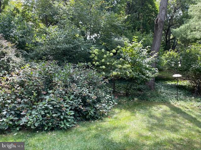 FOX HILL - Residential