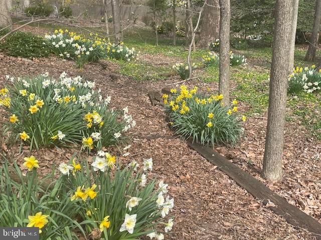 FOX HILL - Residential