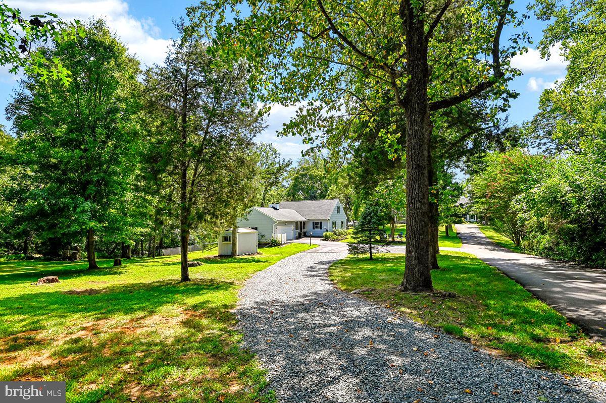 19 W SEVERN RIDGE ROAD