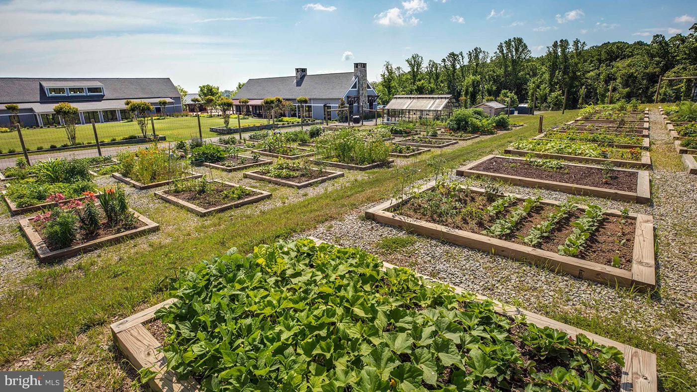 POTOMAC SHORES - Residential