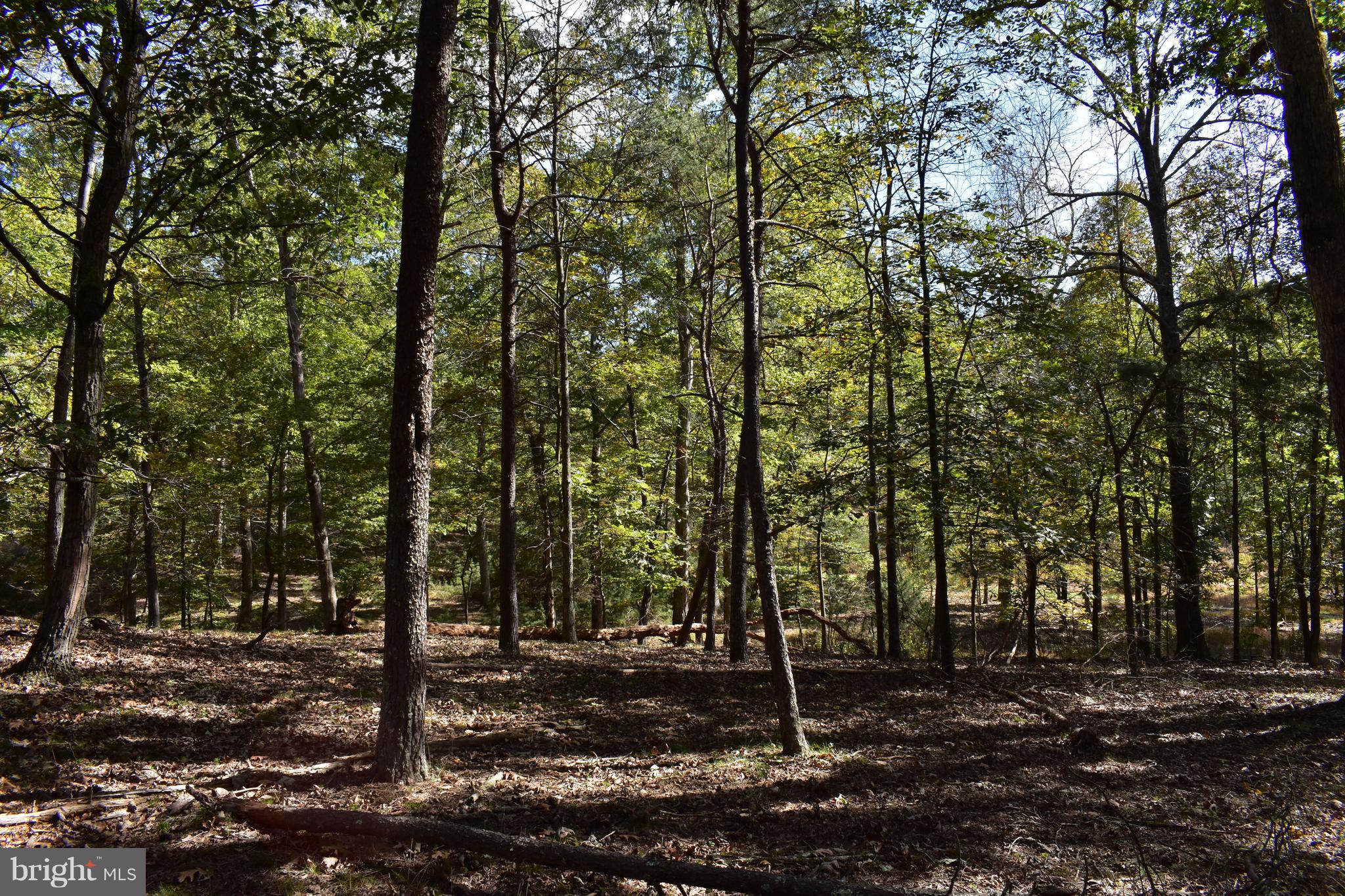 CRYSTAL VALLEY RANCHETTES - Land