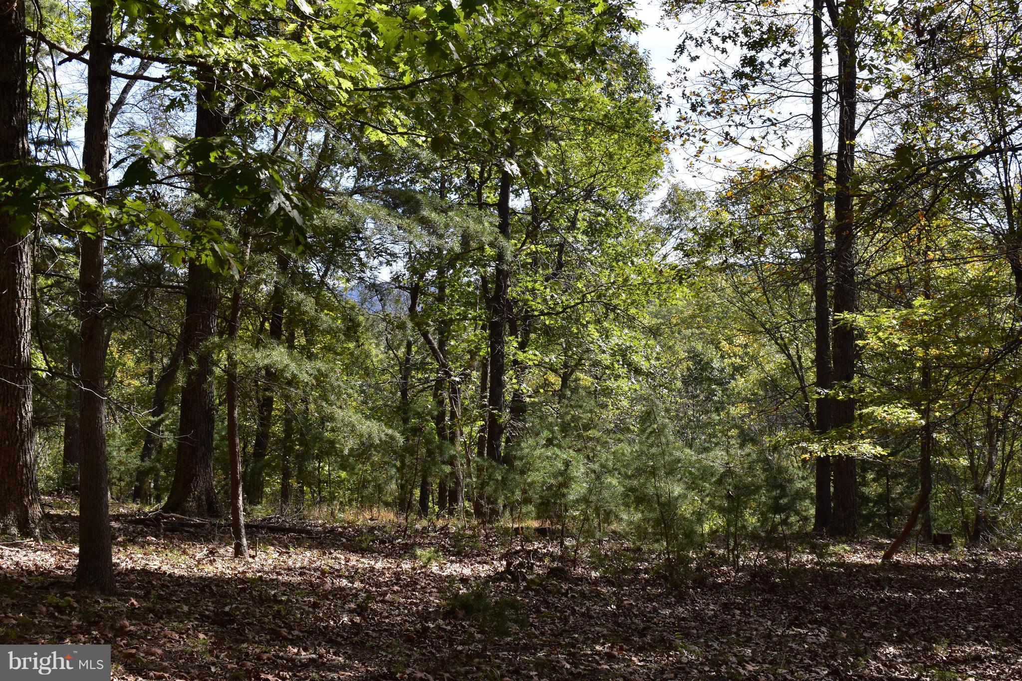 CRYSTAL VALLEY RANCHETTES - Land