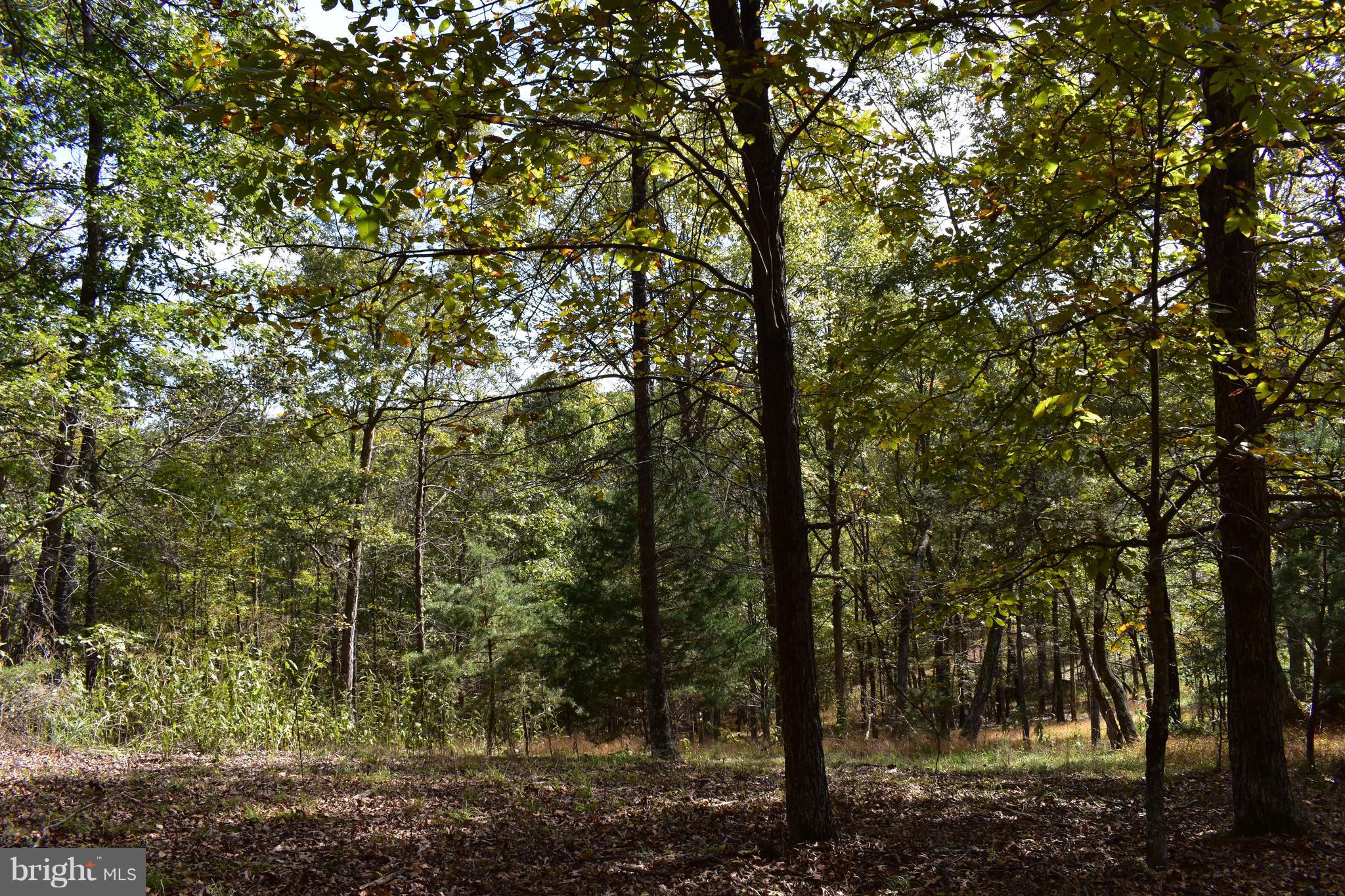 CRYSTAL VALLEY RANCHETTES - Land