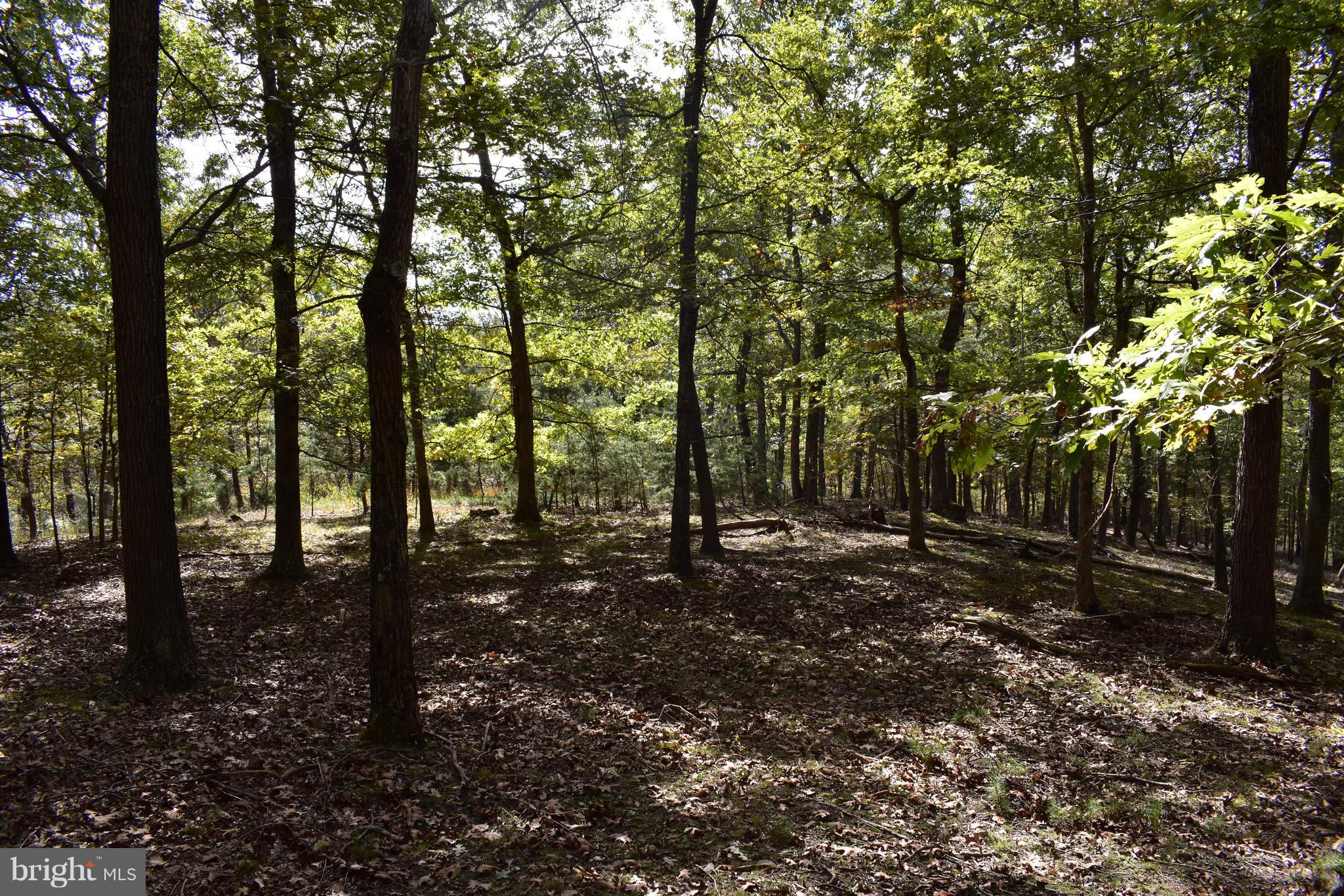 CRYSTAL VALLEY RANCHETTES - Land