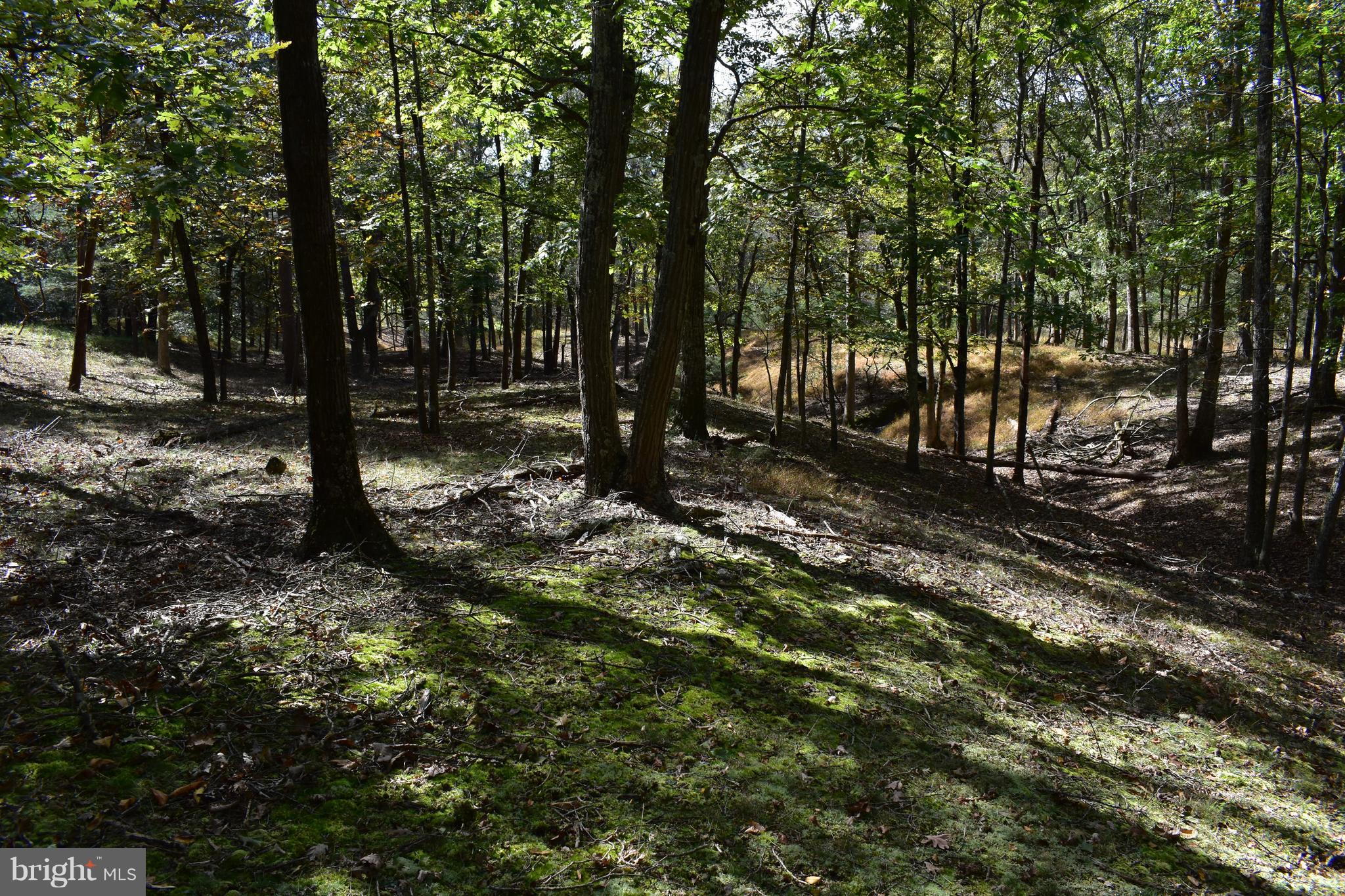 CRYSTAL VALLEY RANCHETTES - Land